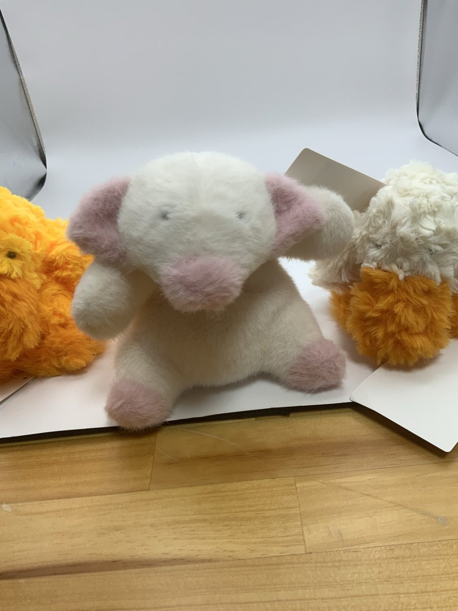 ぬいぐるみの童心【公式】🥺 (@Dousin_kawaii) / Posts / X