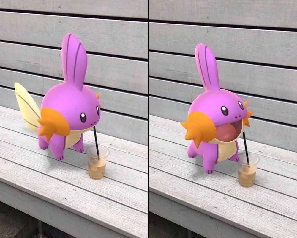 Pokémon Perfect Shots tweet media