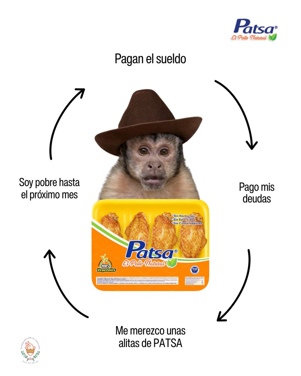 pollopatsa's tweet photo. Adulto funcional por fuera… antojadizo por dentro.

#antojo #adulto #sueldo #tentacion #calidad #proteina #pollo #PatsaMood #México #MemesMX #FoodMarketing #ViralMX #PolloPatsa https://t.co/9O6J7Co86e