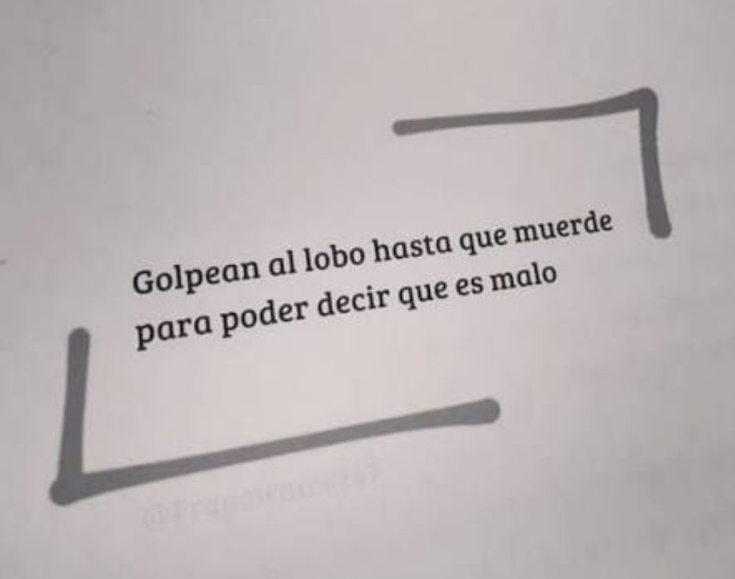 Patriotismo puro tweet media