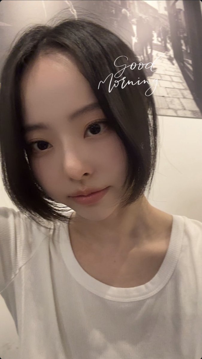 vivi folder tweet media