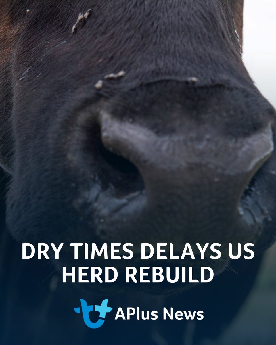 AuctionsPlus tweet media