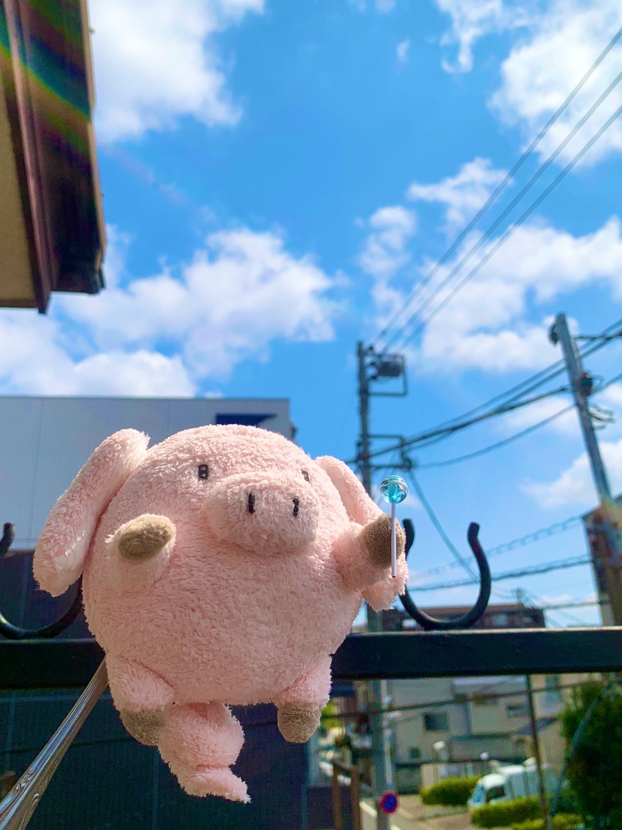 Linda Jota🧸りんだ いおた🪡通販準備中 tweet media