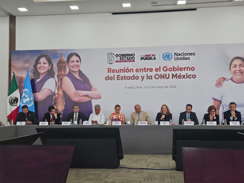 ONU México tweet media