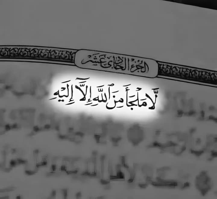 أقوال وحكم الفلاسفه tweet media