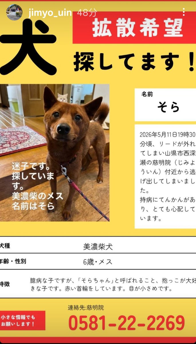 りんせん tweet media