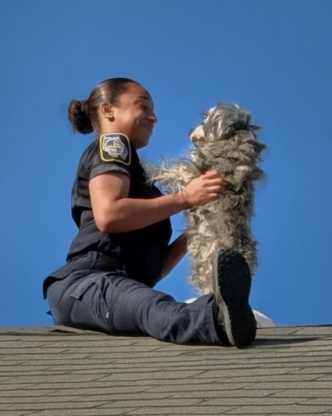 Baltimore County Police Department tweet media