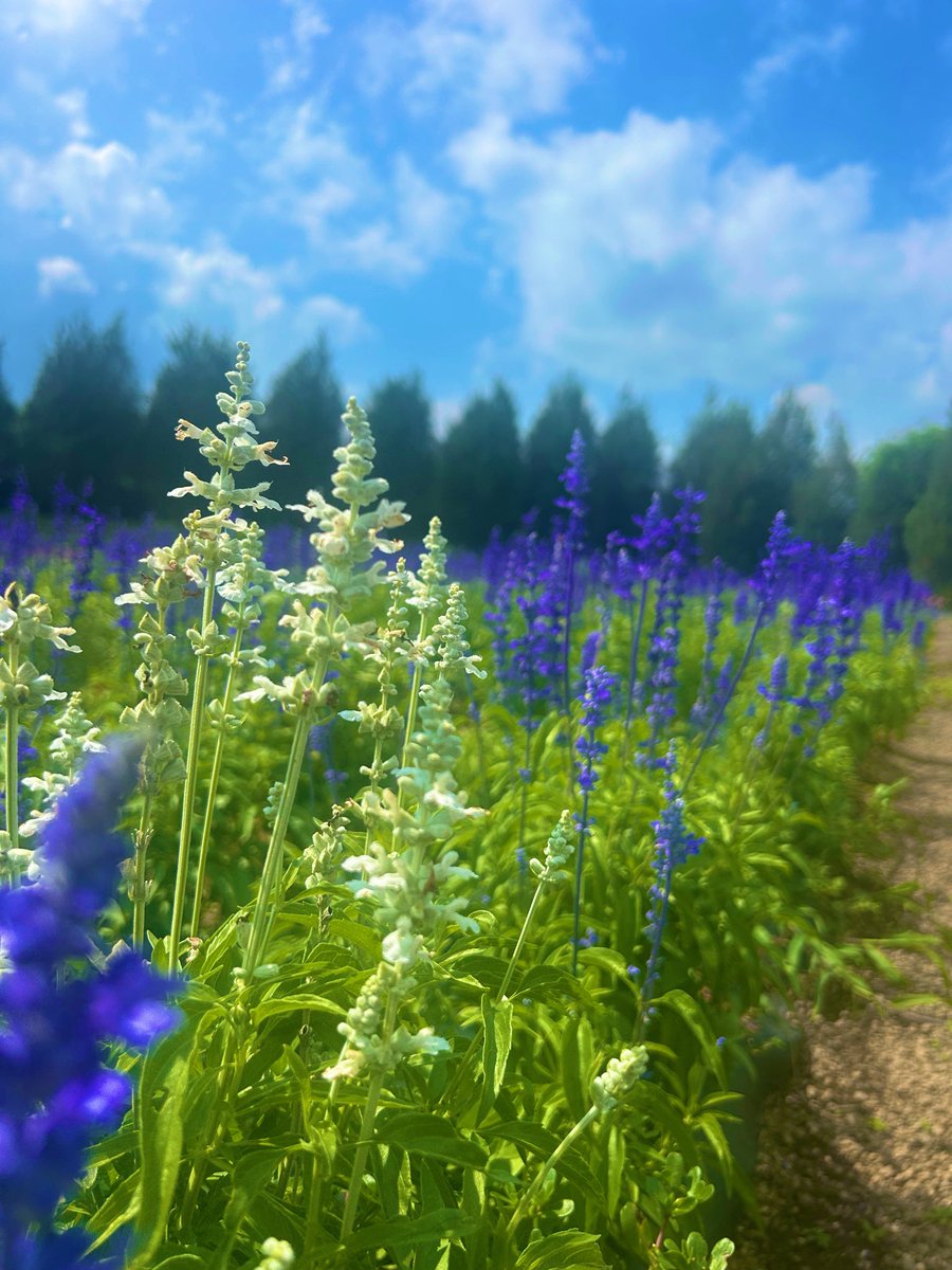 ぽん tweet media
