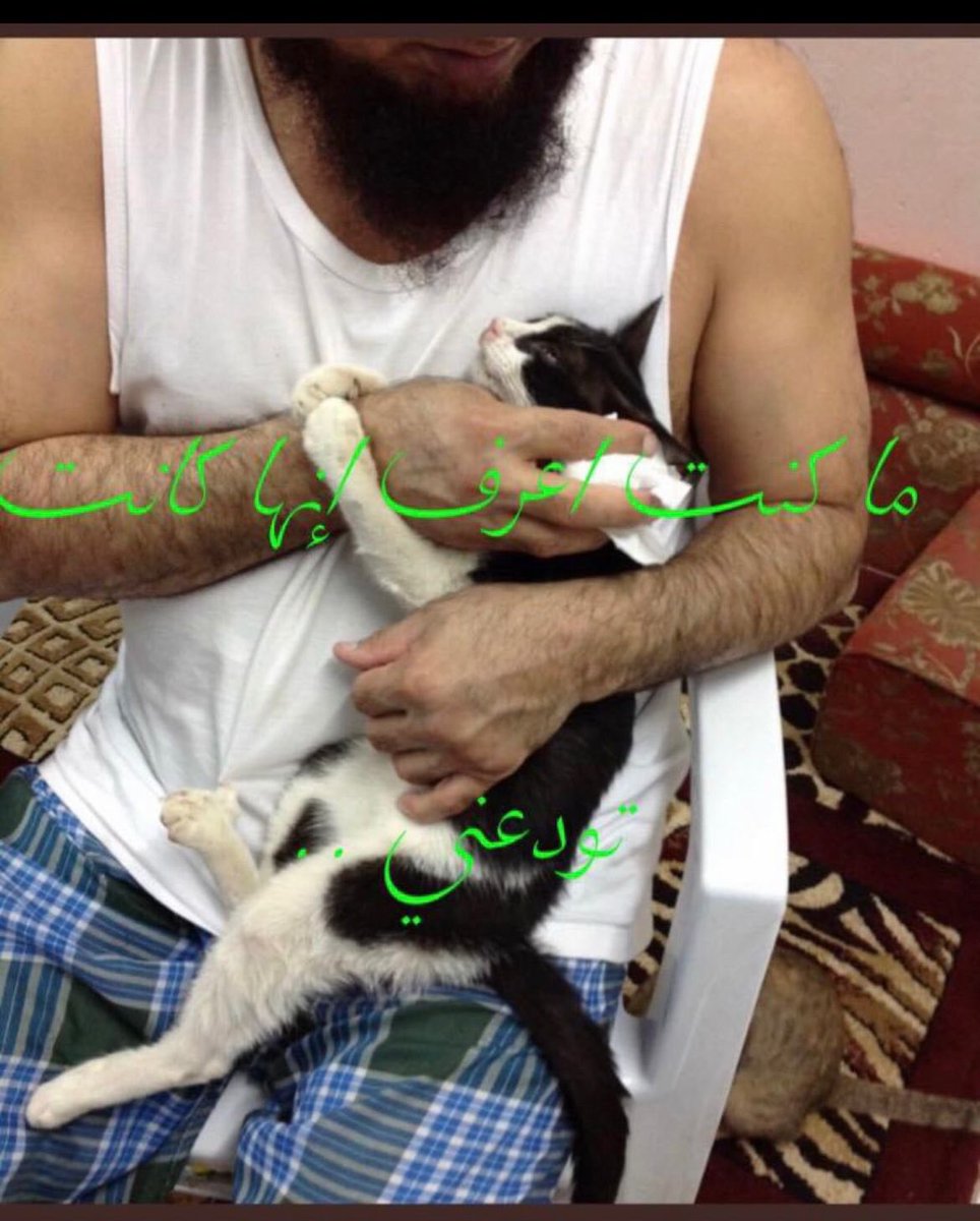 مبارك البذالي tweet media