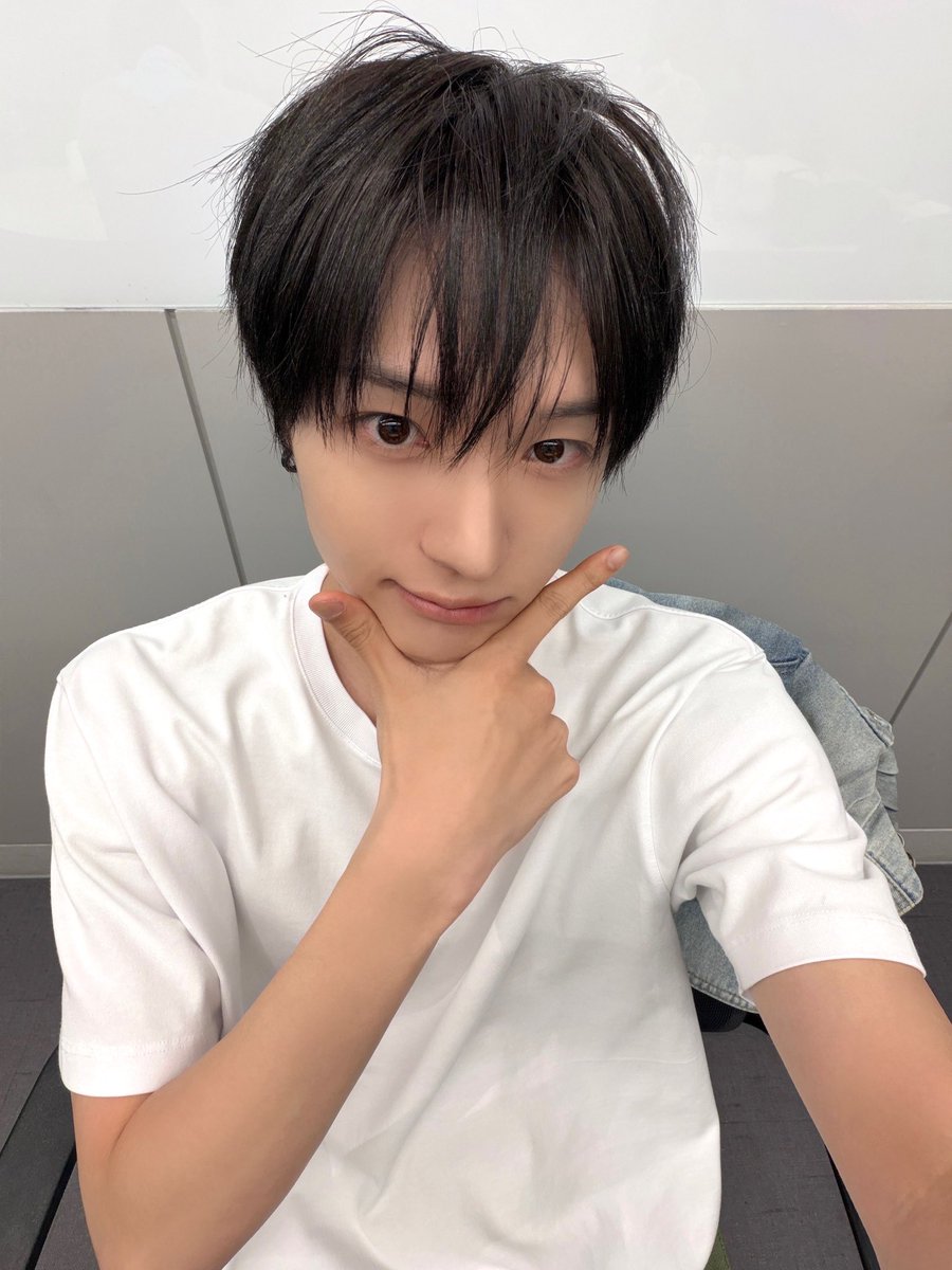 뿅이 tweet media