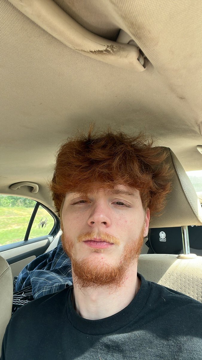 forbiddenging👹😶🌫️ tweet media