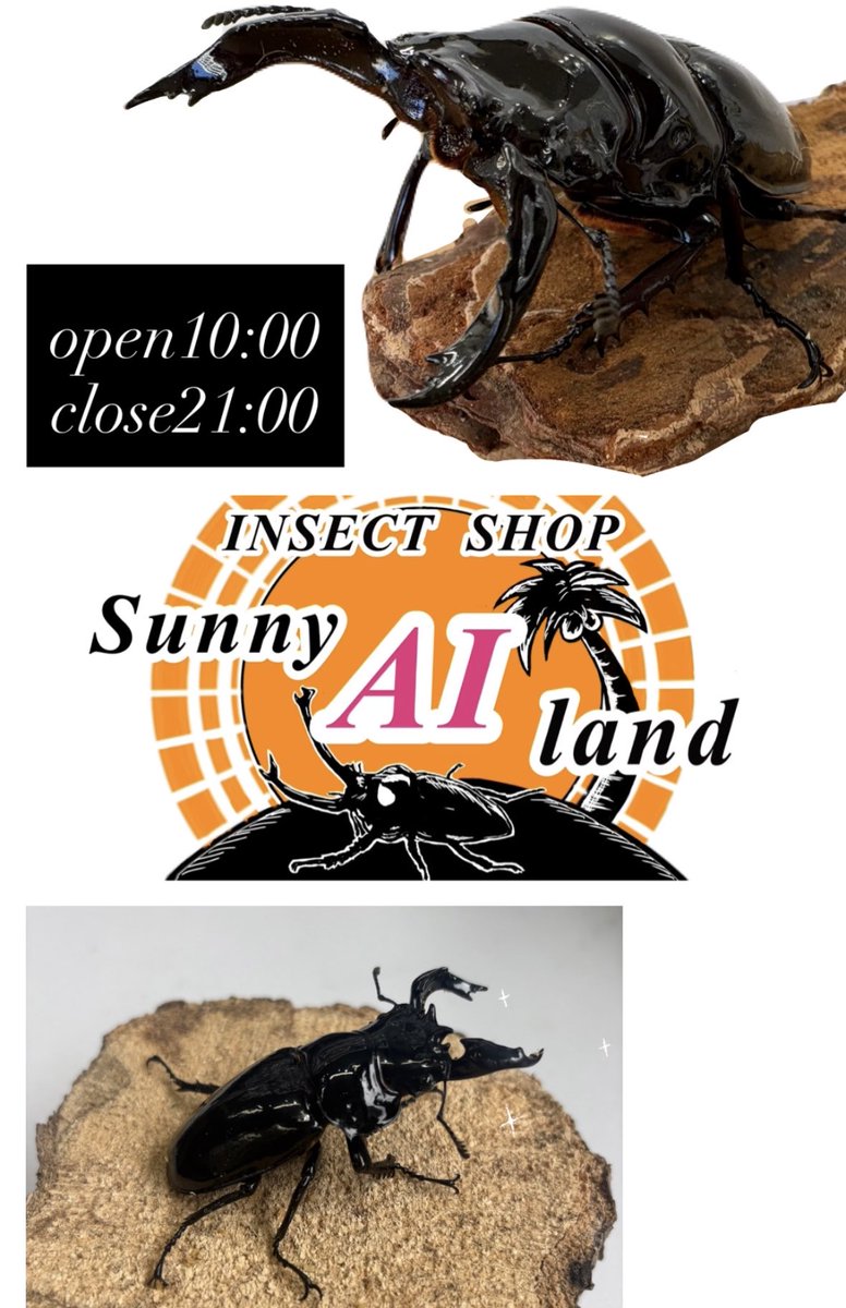 昆虫ショップSunny AI land サニーアイランド天王町 tweet media