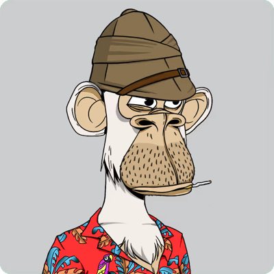 MonkeBagz ✊ tweet media