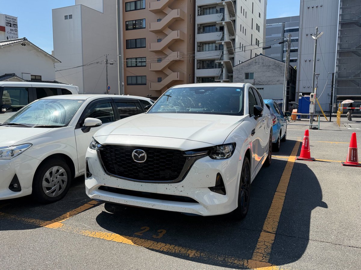 ヒカル tweet media