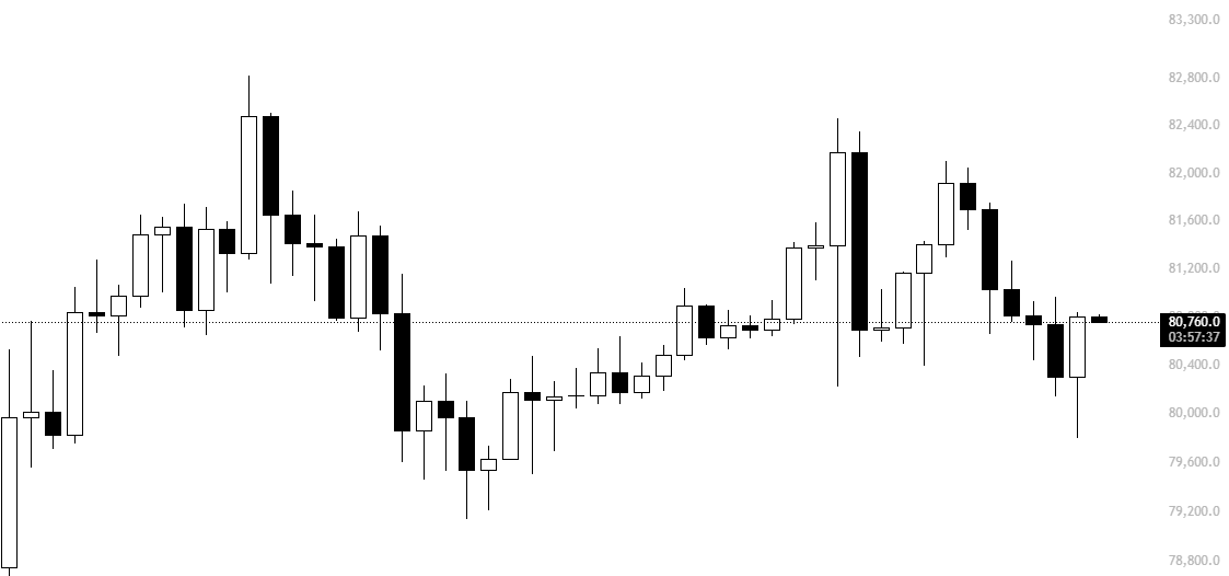 海登 tweet media