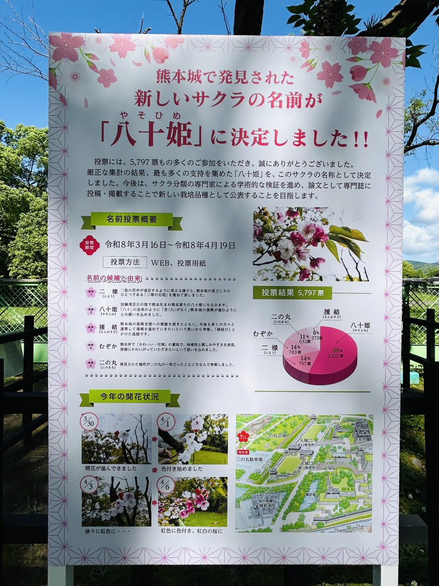 熊本城【公式】 tweet media