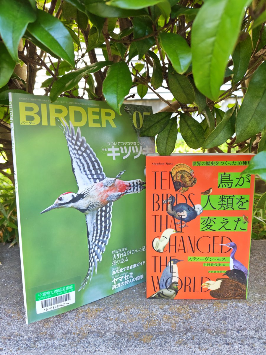 birder