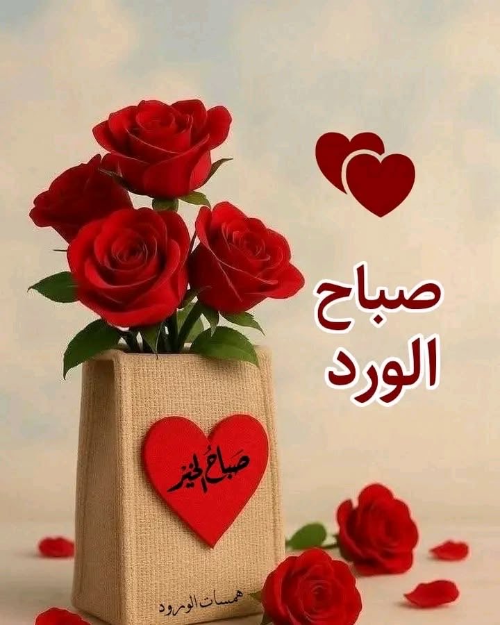 muna_ali2026's tweet photo. 🌹
٠٠
"يخبرنا الصباح أن شعور الصباح عن ألف شعور، وكرم الصباح أبلغ سخاء، وجمال الصبح ينادينا فلنشرق نورًا وحُبًّا وسلام"🕊️

❤️💫
#صباح_آلخيــــر 
#صباح_الخير_والسعادة 
 #بيت_الهيثم https://t.co/T23pbwbIwn