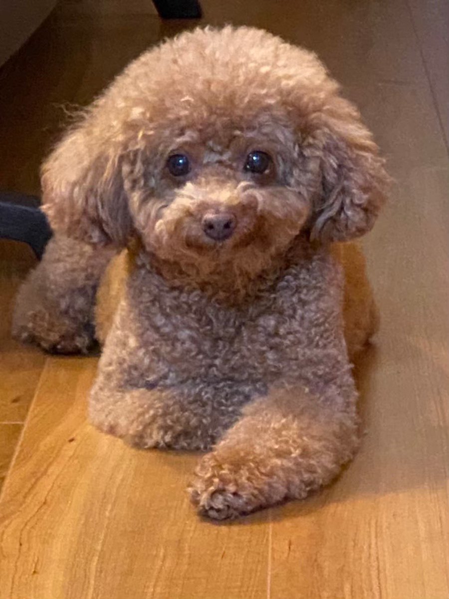 多田祥太朗 tweet media