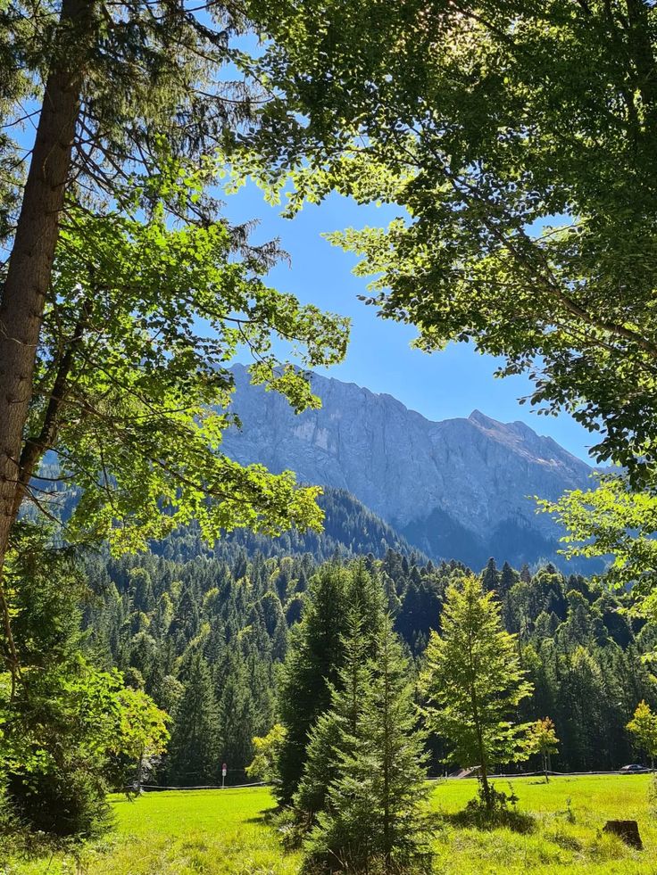 raducu_nicoleta's tweet photo. 🌿🍃🌿Good morning 🌿🍃🌿 https://t.co/N8lcuMVXBJ
