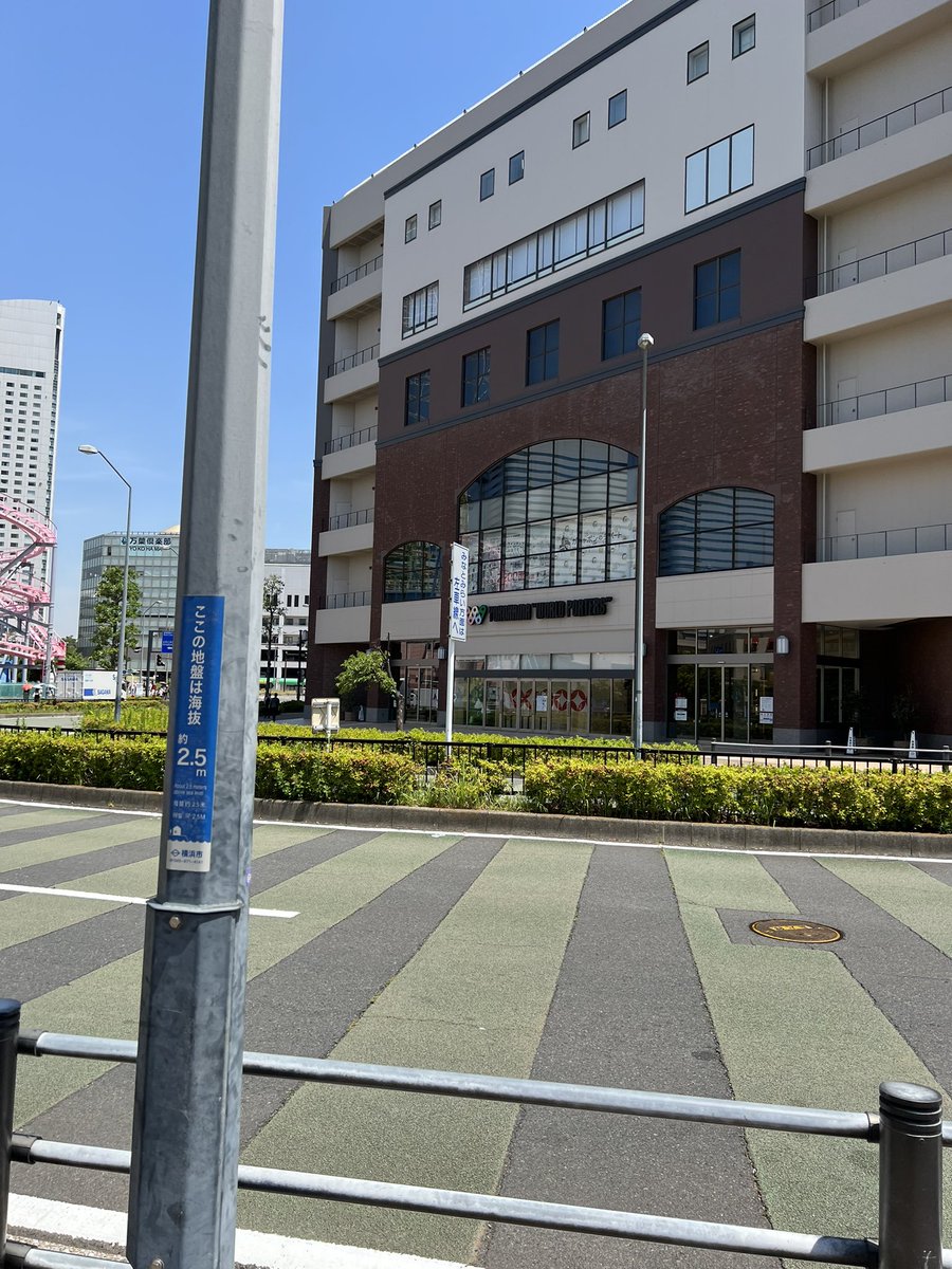 たーちんネキ(深町ただし) tweet media