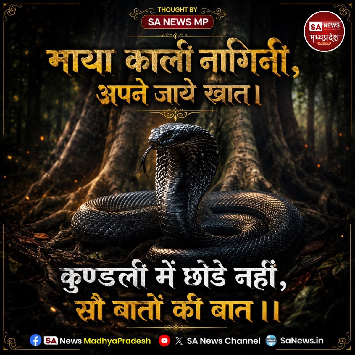 Mithlesh Kumar tweet media