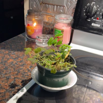 Neka05's tweet photo. #NewProfilePic https://t.co/EZ6j6ciyF7