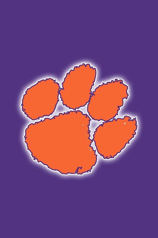 Aidyn wiggins tweet media
