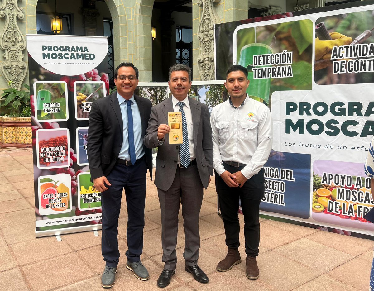 MOSCAMEDGT's tweet photo. 🥗 Celebramos el Día Internacional de la Sanidad Vegetal, junto a @MagaGuatemala reafirmando el trabajo conjunto para la protección fitosanitaria.

📣 Comunicamos la importancia de proteger las áreas libres para producir frutas y hortalizas sanas 🥭🫑🍅🍊
#SanidadVegetal https://t.co/pdXp7WOSld