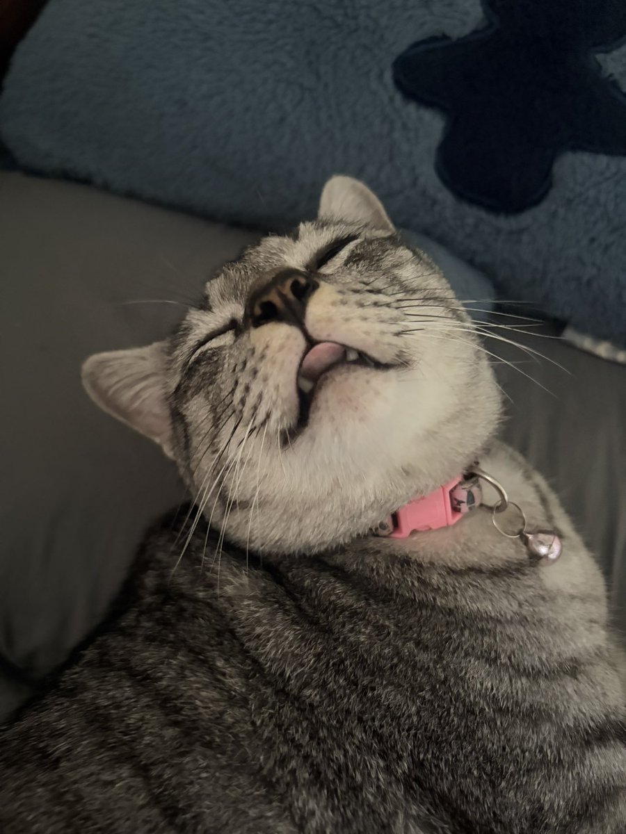 𝙒𝙝𝙞𝙥𝙘_ tweet media