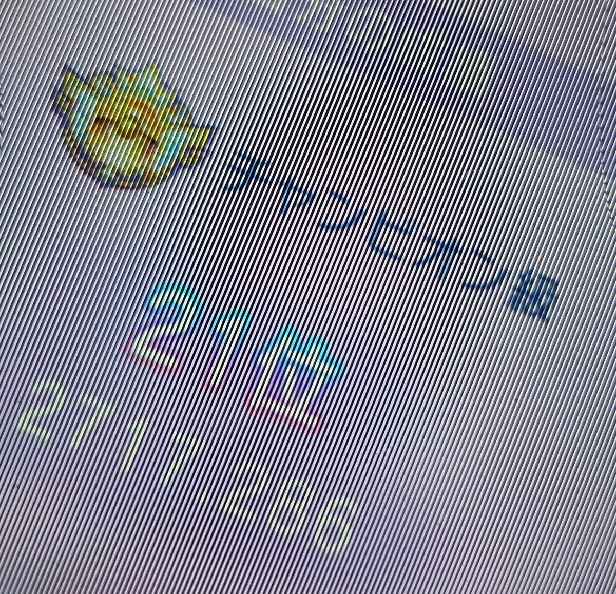 グーヤント tweet media