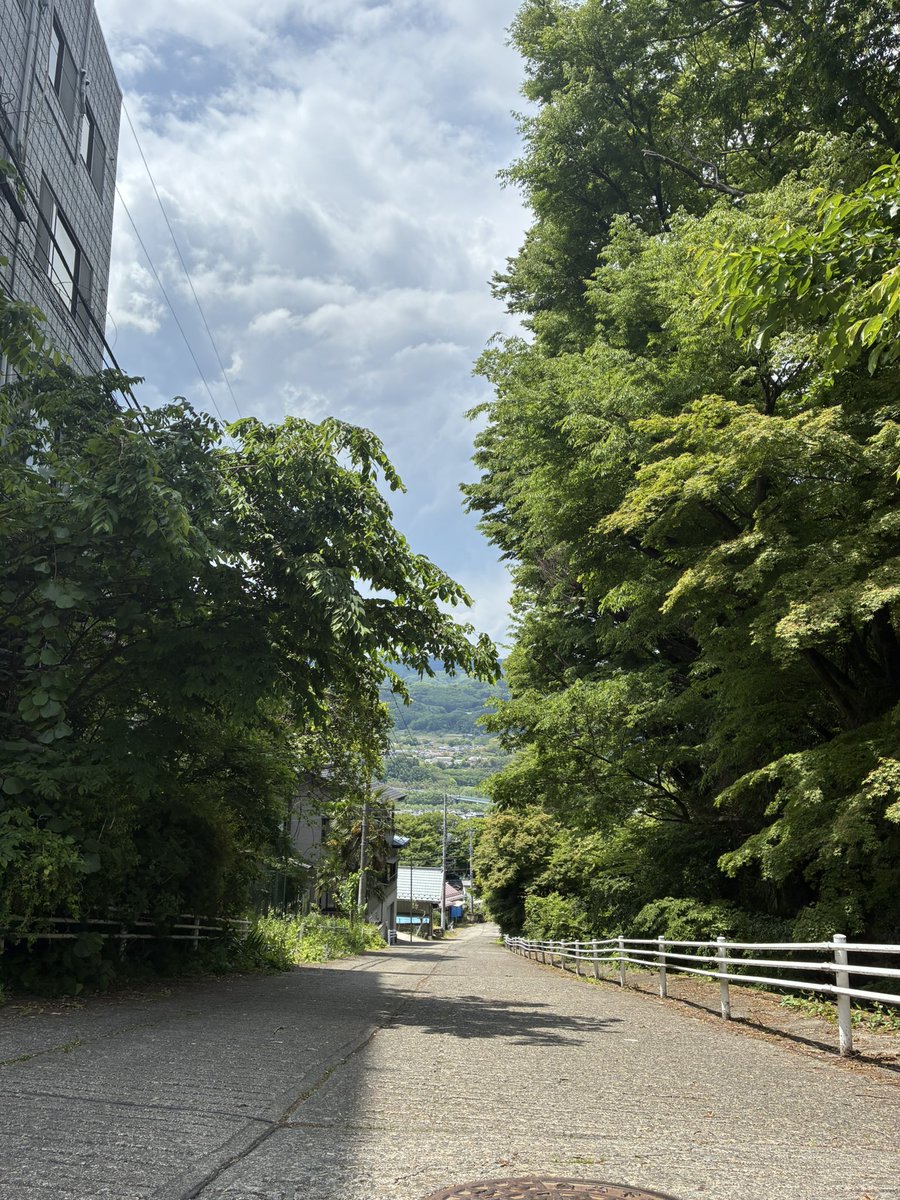 オサムシ tweet media