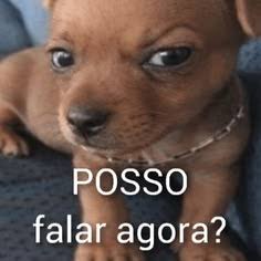Auxiliar de médico de 🐕🐈 tweet media