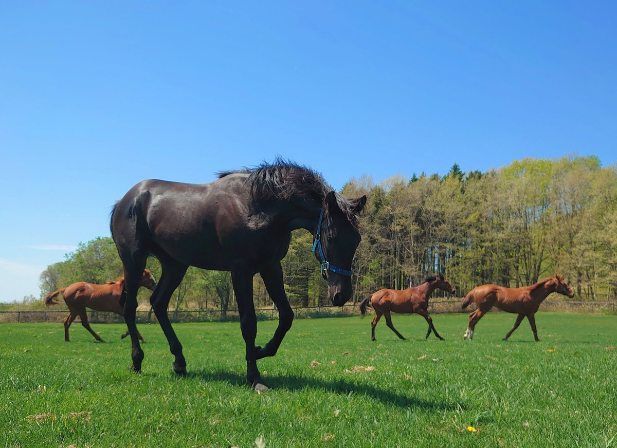 𝙖𝙩𝙖𝙧𝙞𝙢𝙚🐴 tweet media
