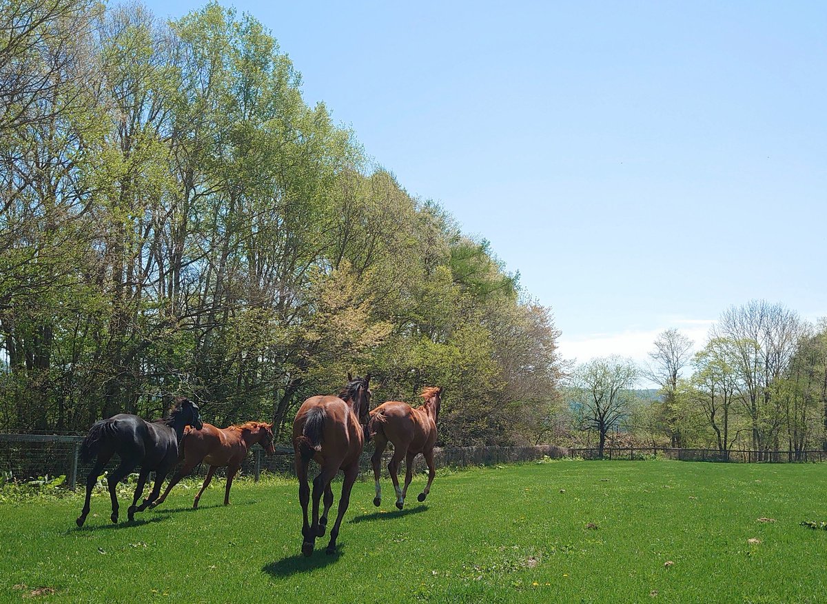 𝙖𝙩𝙖𝙧𝙞𝙢𝙚🐴 tweet media