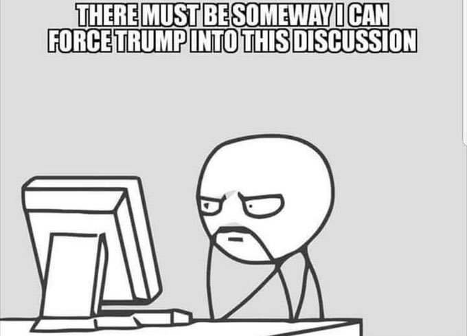 🇺🇸OwnedByCats🇺🇸 tweet media
