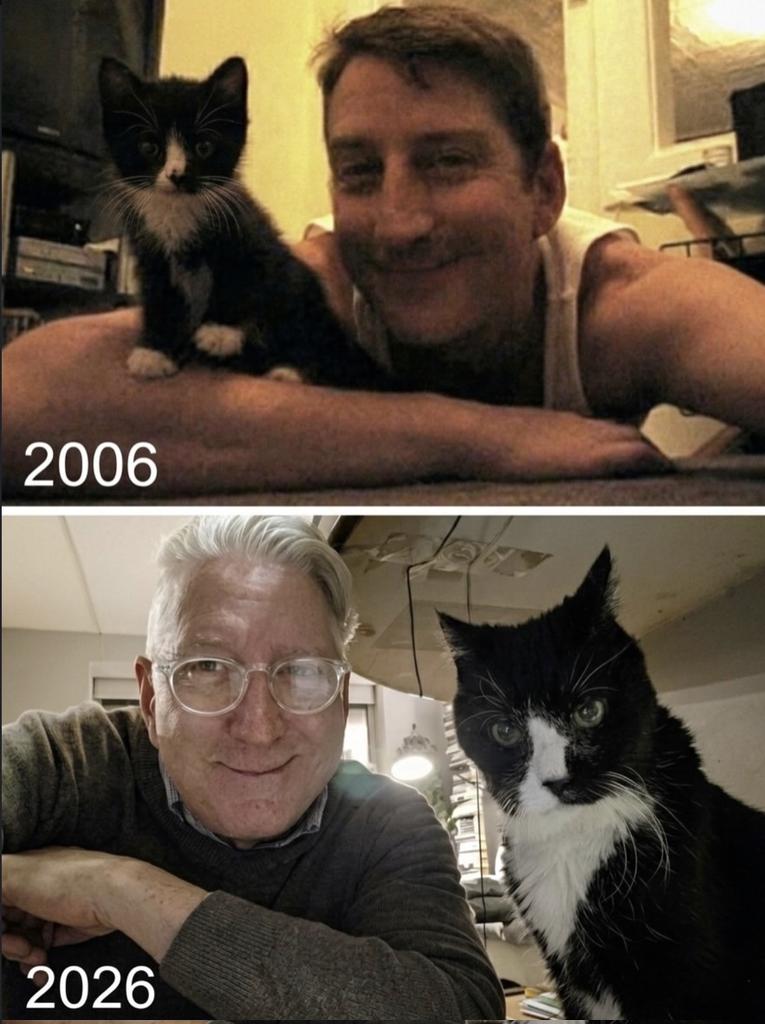 The Pets 𝕏 tweet media