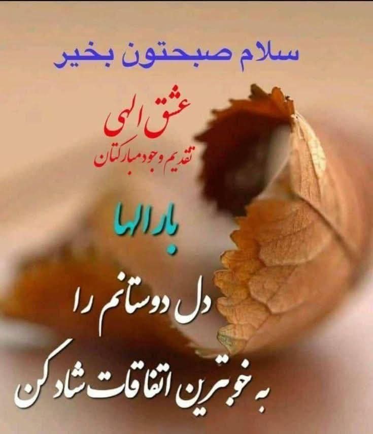 Hashmatullah tweet media