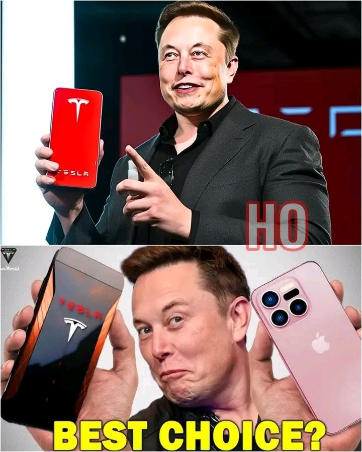 Elon Fan PK tweet media