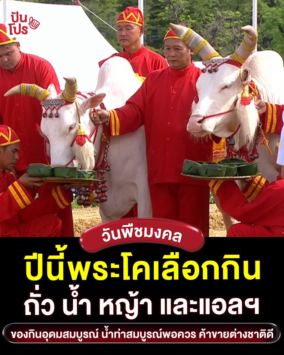 ปันโปร tweet media