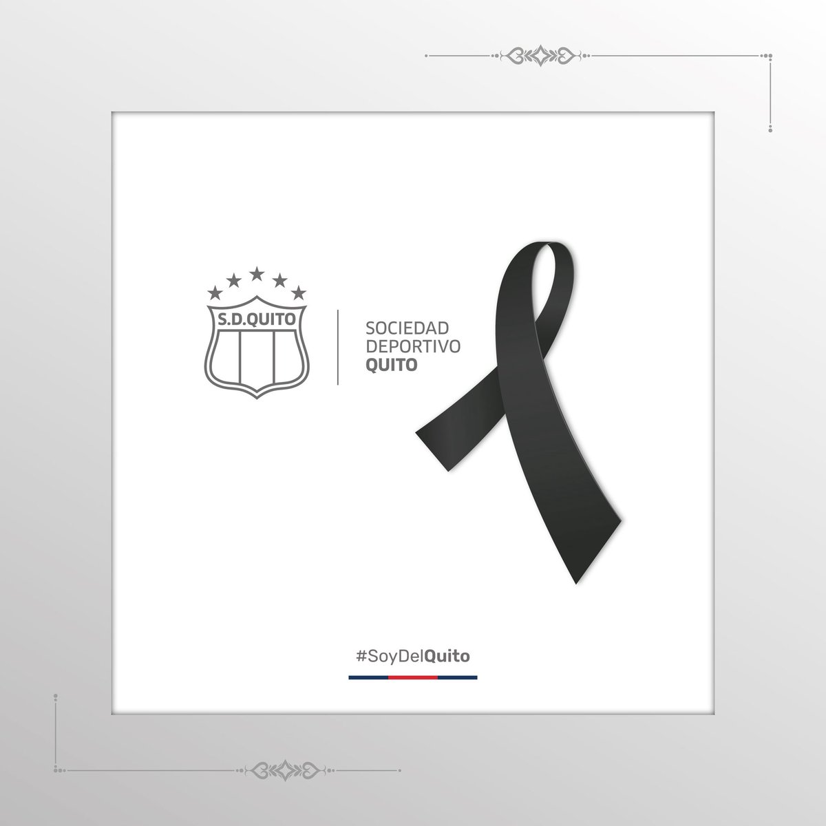 SD Quito Oficial tweet media