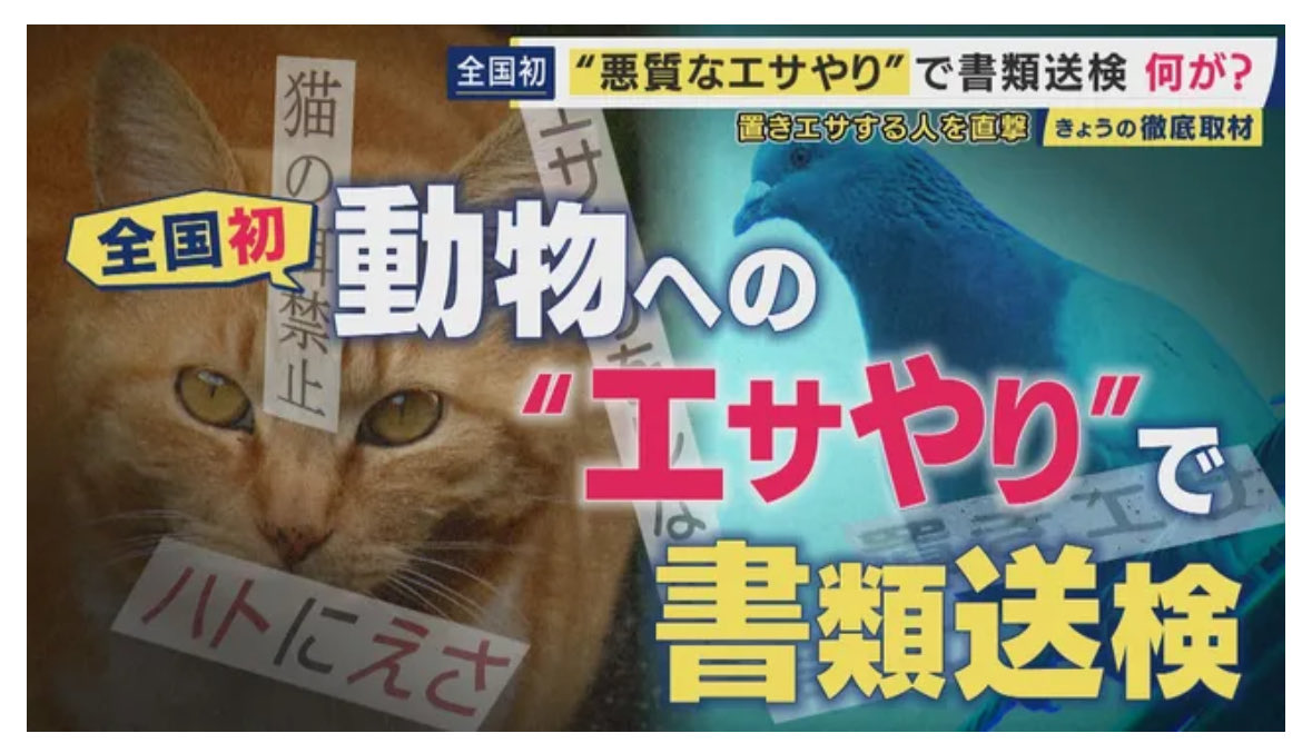 太陽言論 tweet media