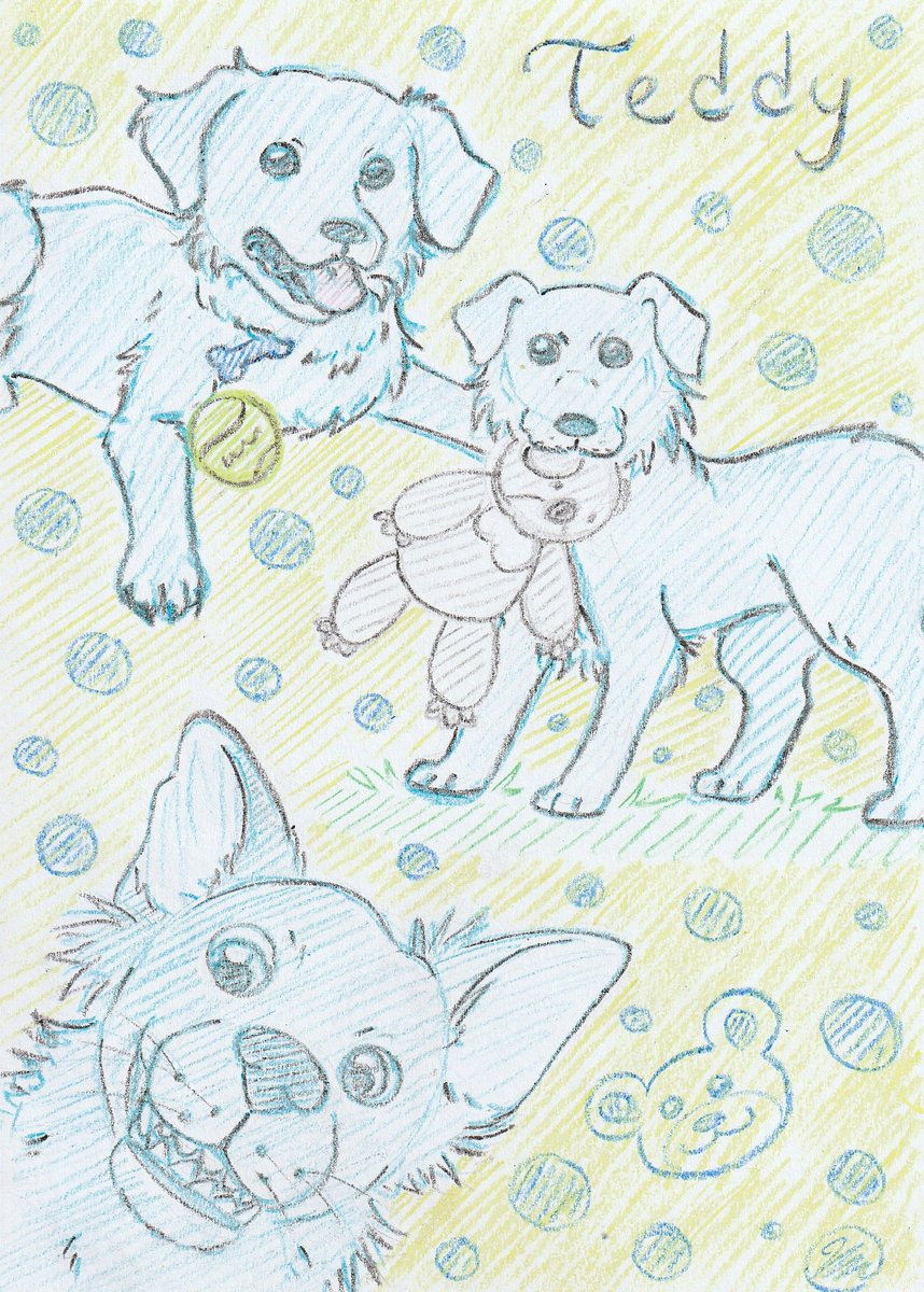 FluffyThy's tweet photo. Pet Art https://t.co/B8l353C1sW