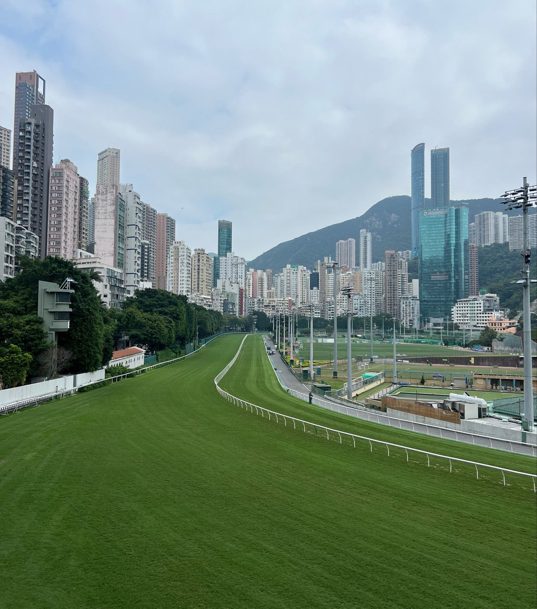_JDRacing's tweet photo. 🇭🇰 Meeting No.71 at Happy Valley!

Best bet: R2 N12 Nebraskan 

Value: R7 N8 Tactical Command https://t.co/XP4eQp98b0