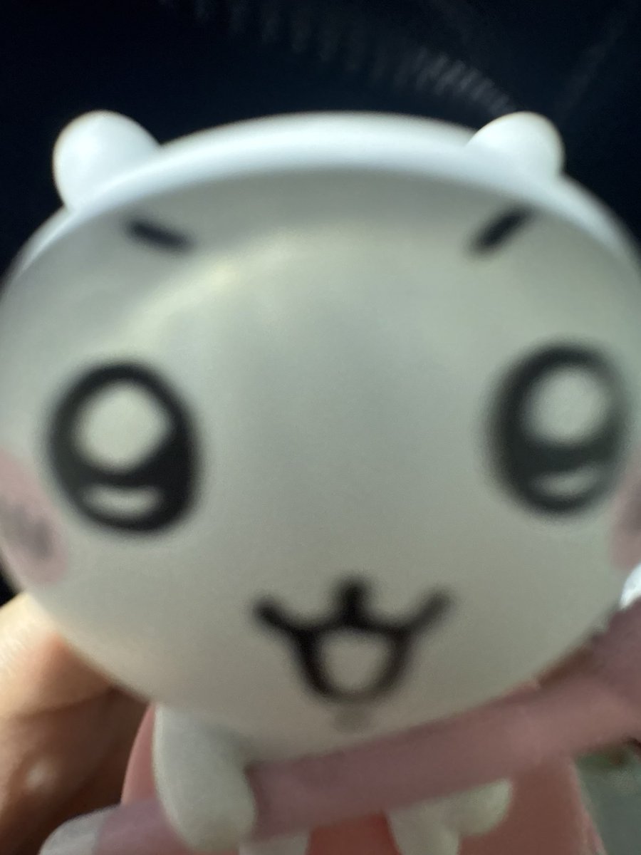 쪼꼬 tweet media