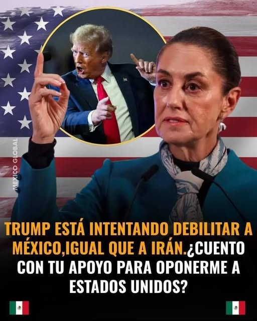 Ana Luisa tweet media