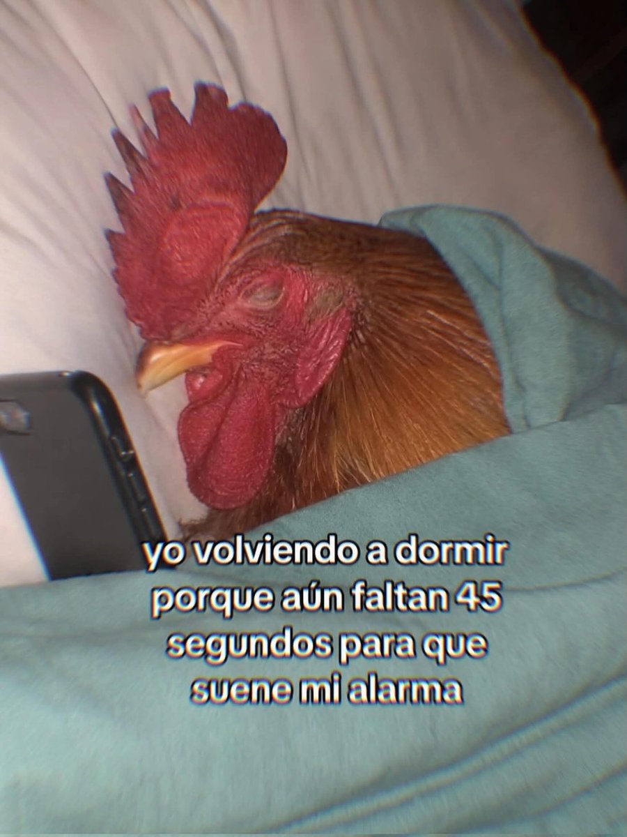 FraseSimple's tweet photo. https://t.co/Br6QsZQOAh