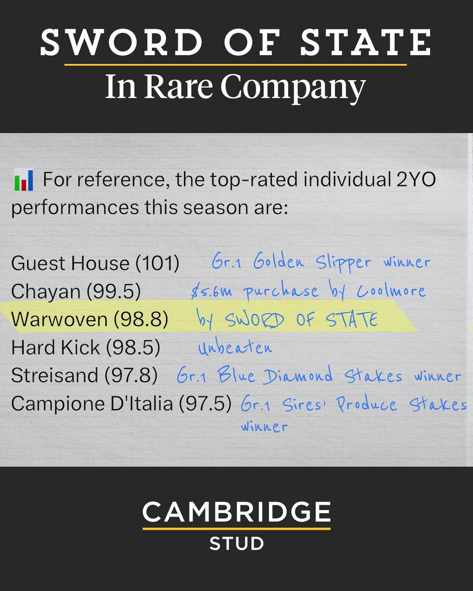 CambridgeStud's tweet photo. Sword of State’s first crop includes Warwoven, one of the best two-year-olds in Australia this season as rated by Daniel O’Sullivan @TRBHorseRacing. https://t.co/Szga8U2ObR