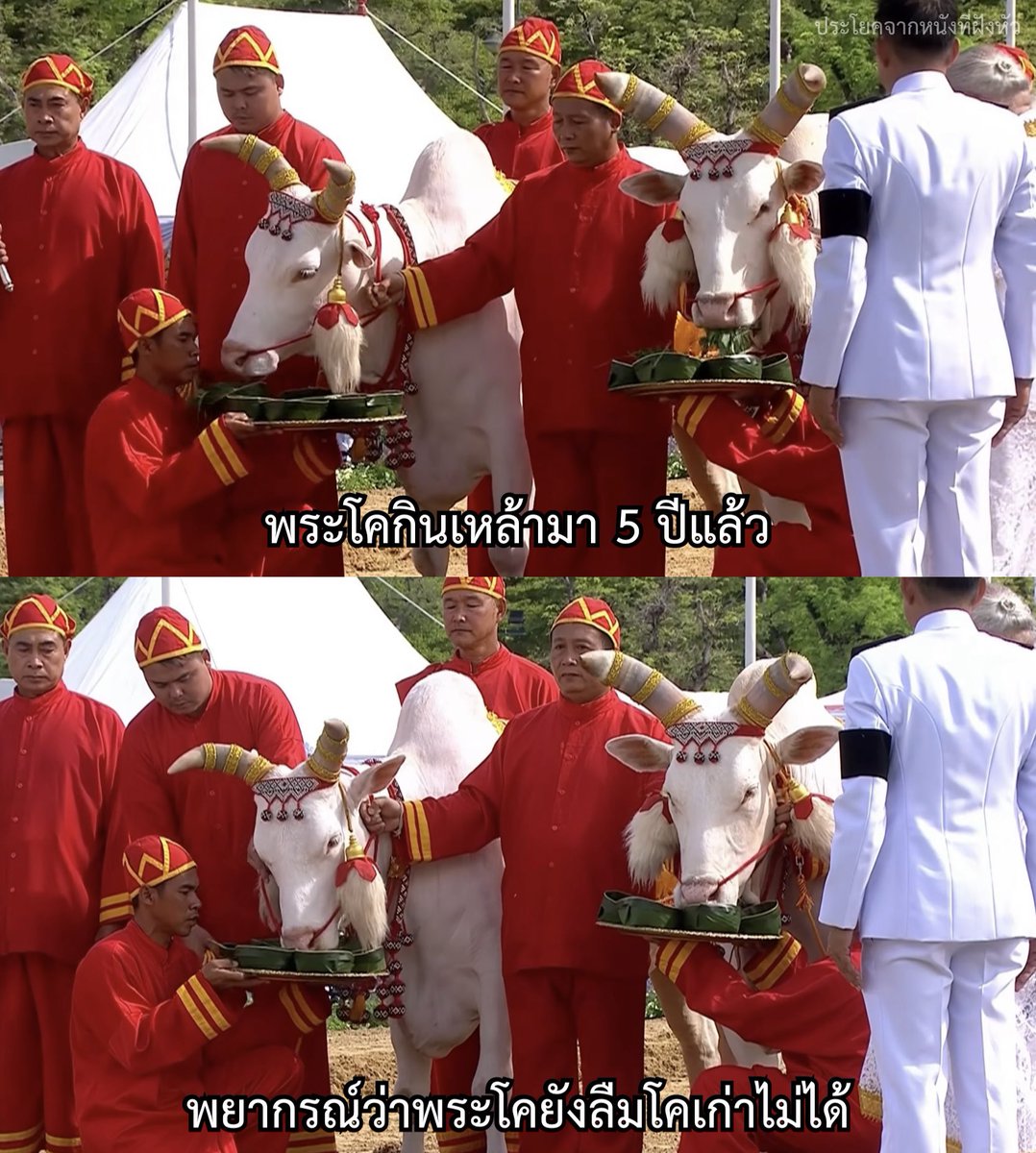 ประโยคจากหนังที่ฝังหัว tweet media