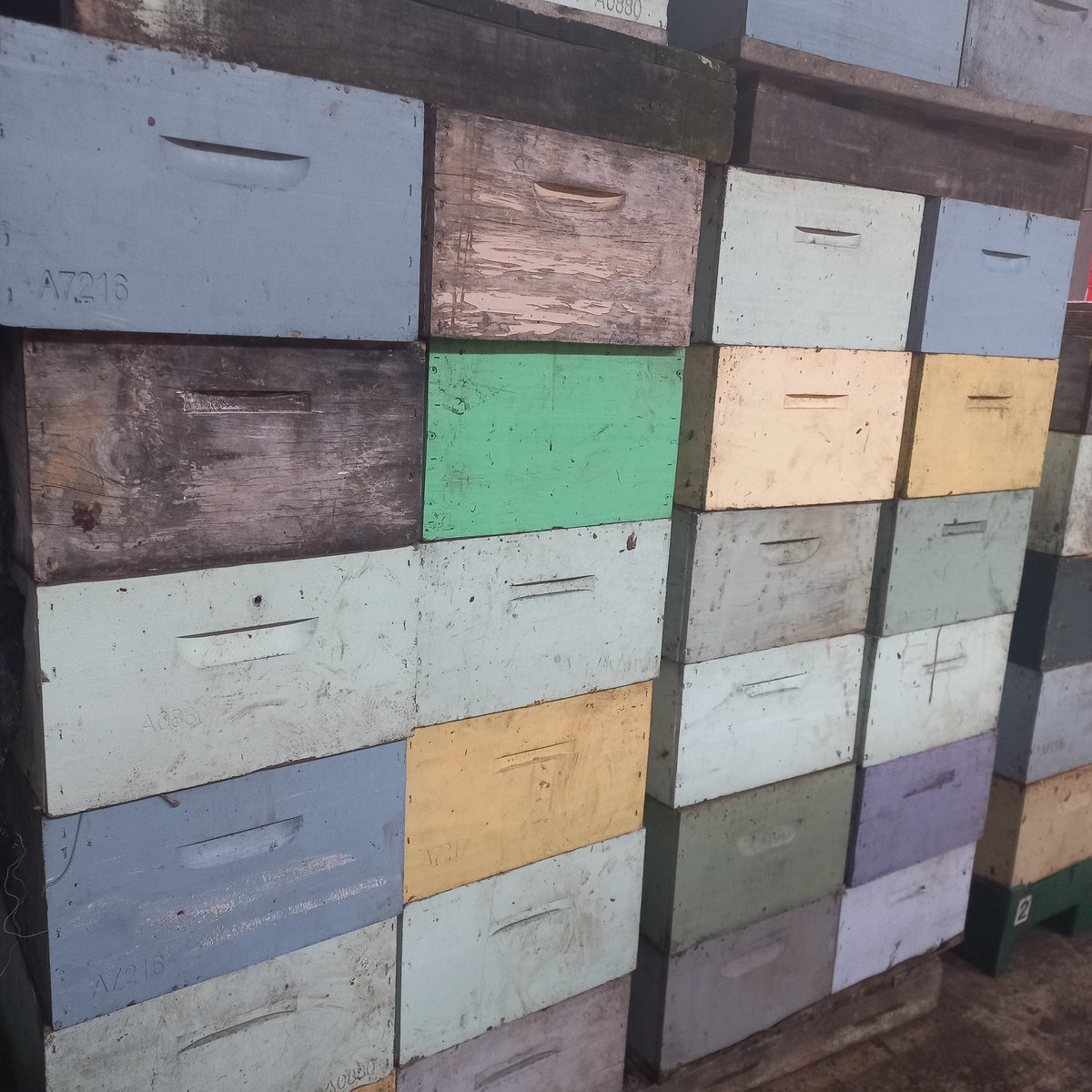 WoodOnWineNZ's tweet photo. I do love a good #beebox https://t.co/SxlWjIxfFL
